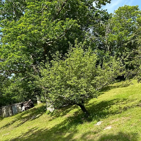 D'etape Chez Pierrot Vivario (Corsica)