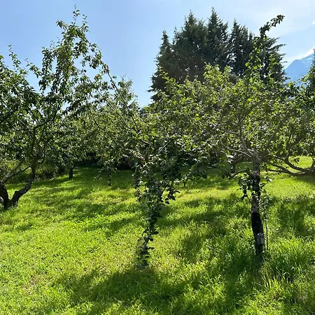 D'etape Chez Pierrot Vivario (Corsica)
