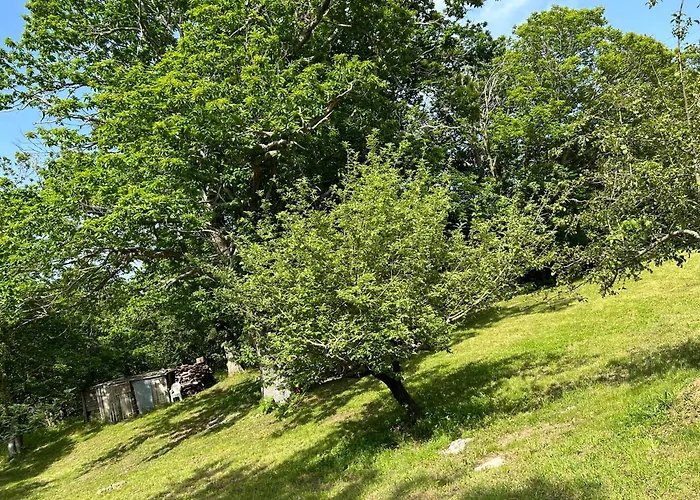 Chez Pierrot Vivario (Corsica)