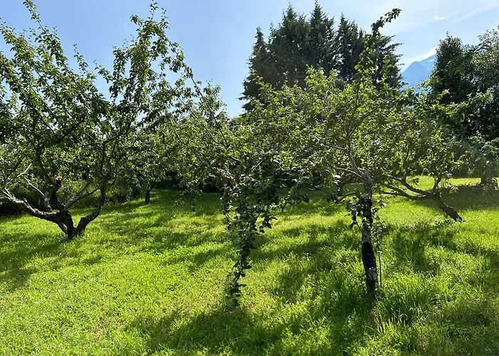 Chez Pierrot Vivario (Corsica)